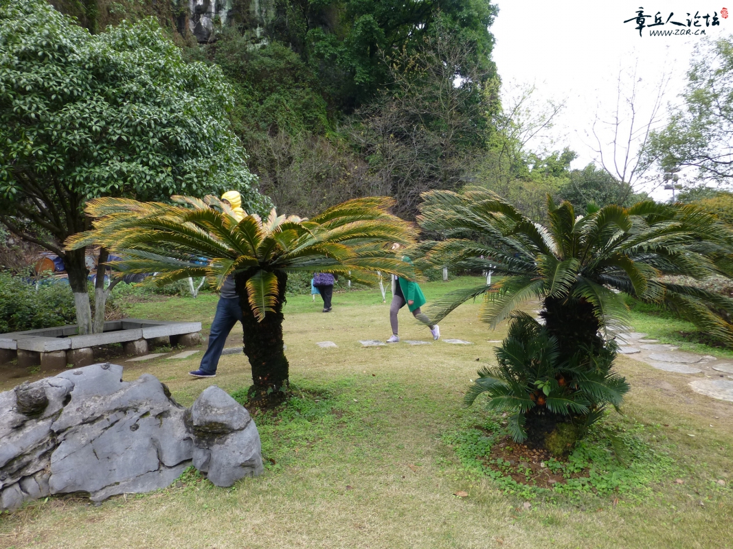 P1050684.jpg
