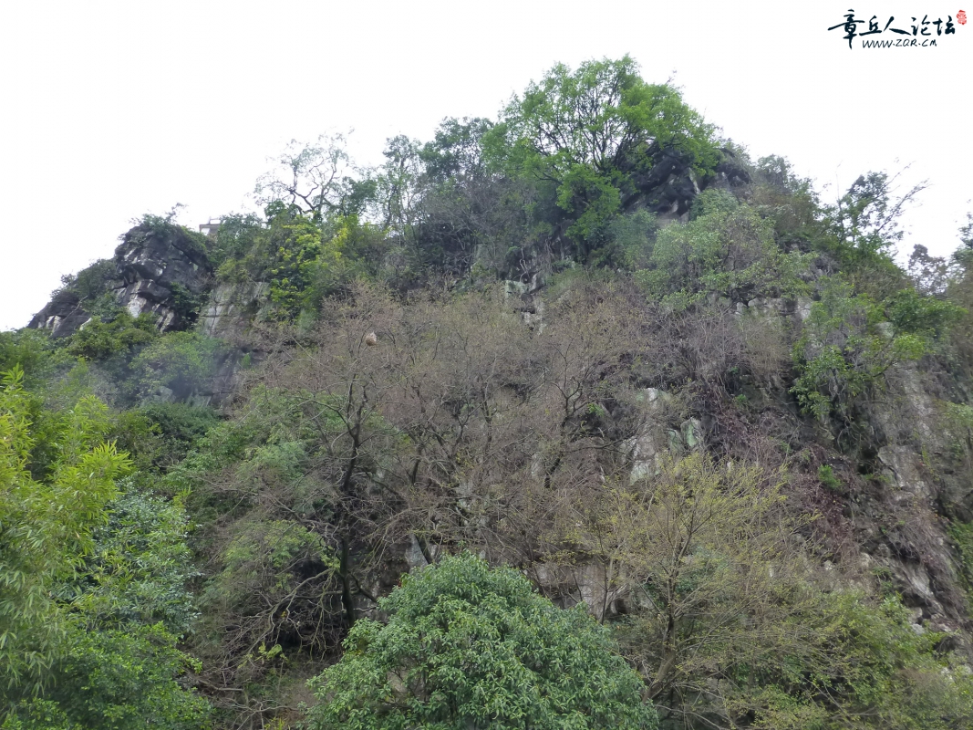 P1050685.jpg