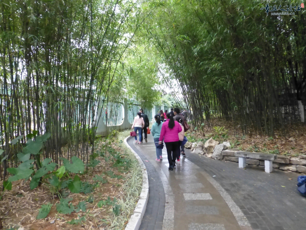 P1050686.jpg
