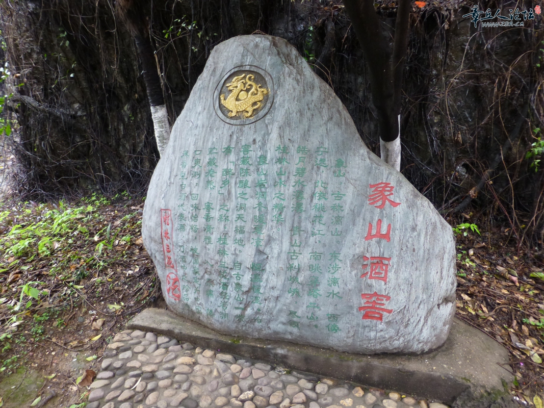 P1050690.jpg