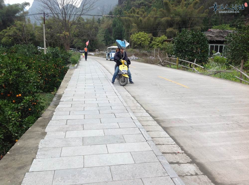 照片 1236.jpg