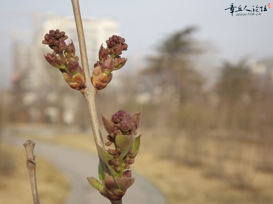 DSCF2552.JPG