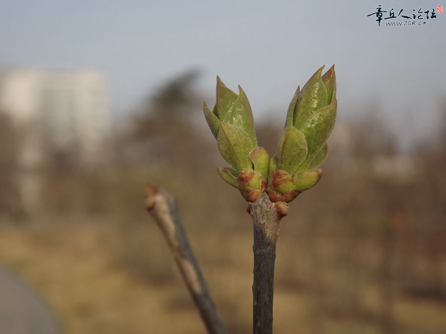 DSCF2551.JPG