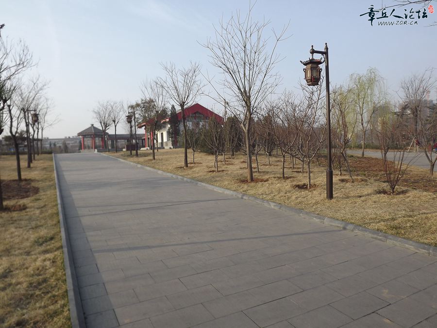 DSCF2553.JPG