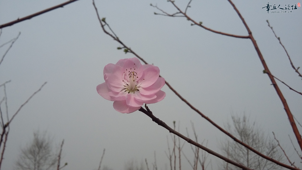 20150320_110723.jpg
