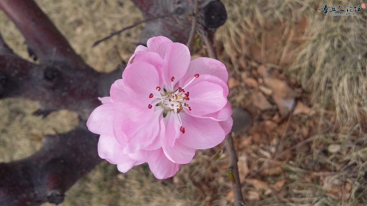 20150320_111104.jpg