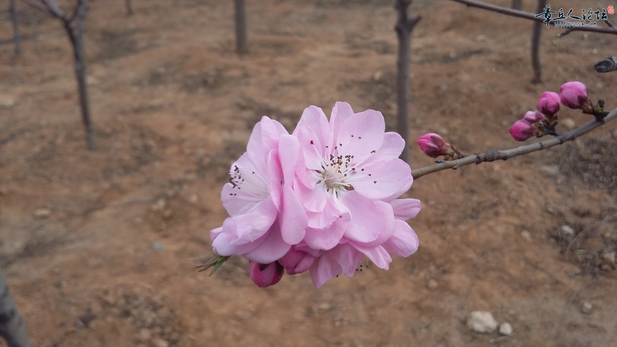 20150320_143134.jpg