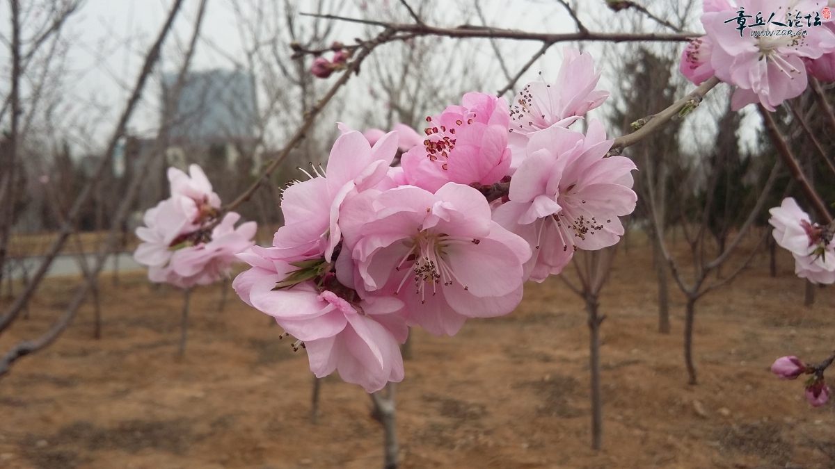 20150320_143254.jpg