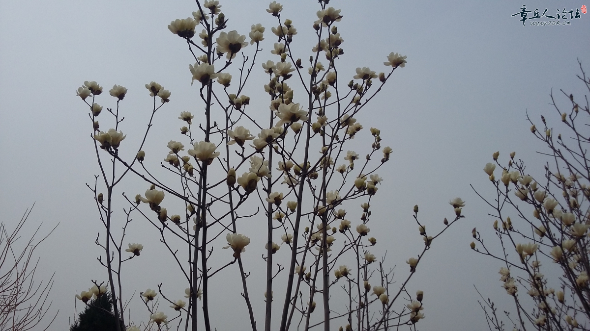 20150320_104738.jpg