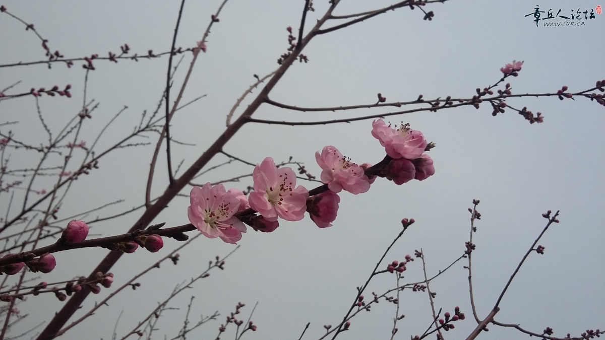 20150320_110706.jpg