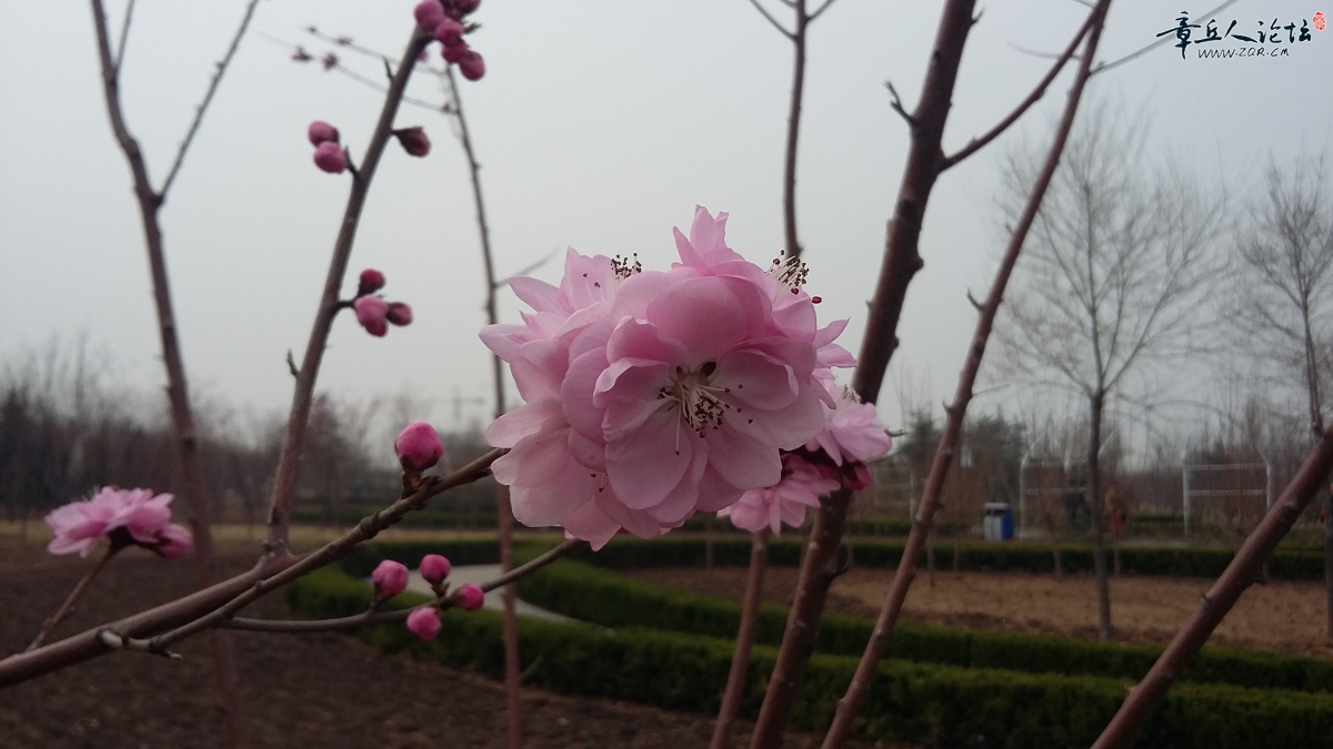 20150320_143116.jpg