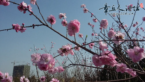 20150321_145637.jpg