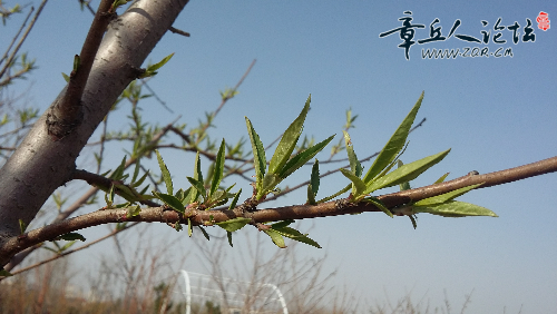 20150321_145742.jpg