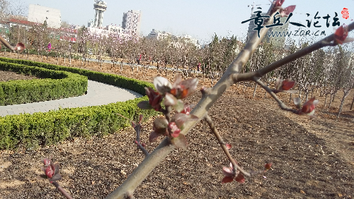 20150321_145809.jpg