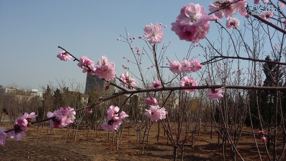20150321_145634.jpg