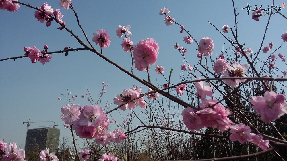20150321_145637.jpg