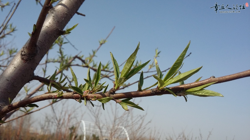 20150321_145742.jpg