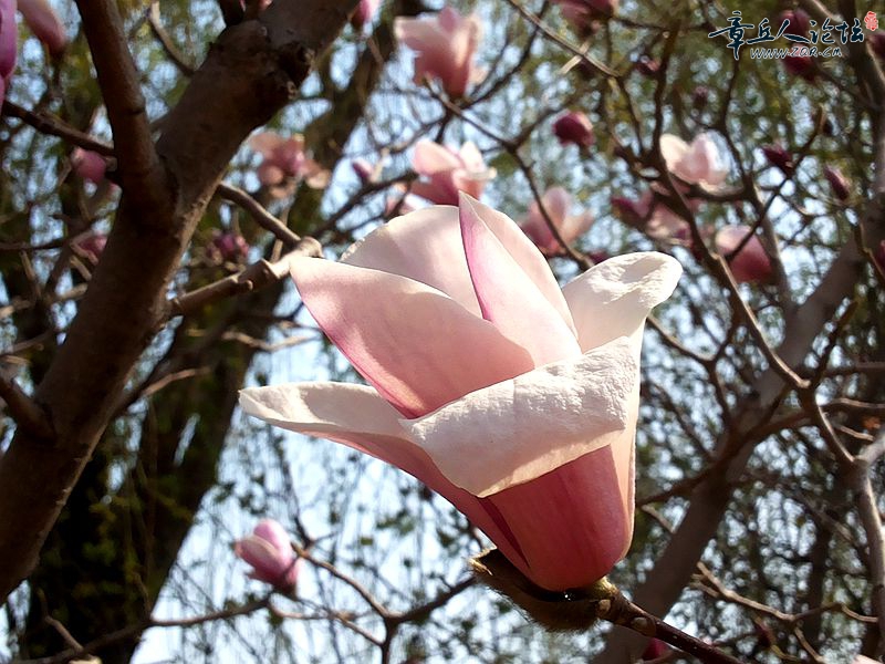 20150324_101538.jpg