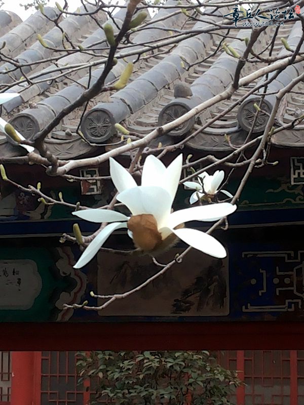 20150324_164229.jpg