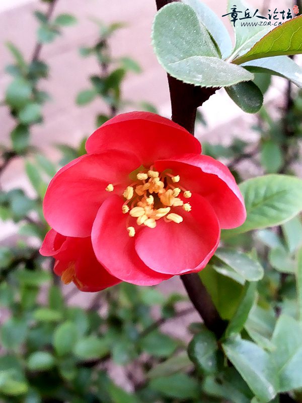 20150324_164346.jpg