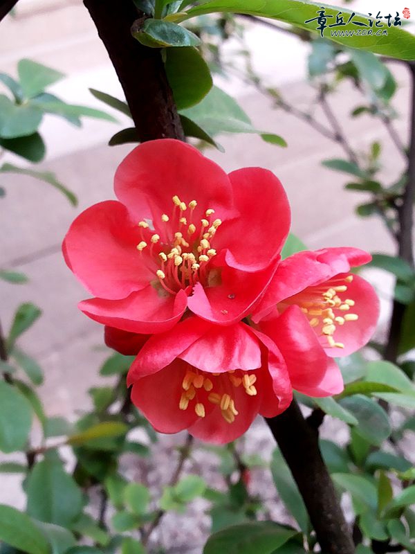 20150324_164438.jpg