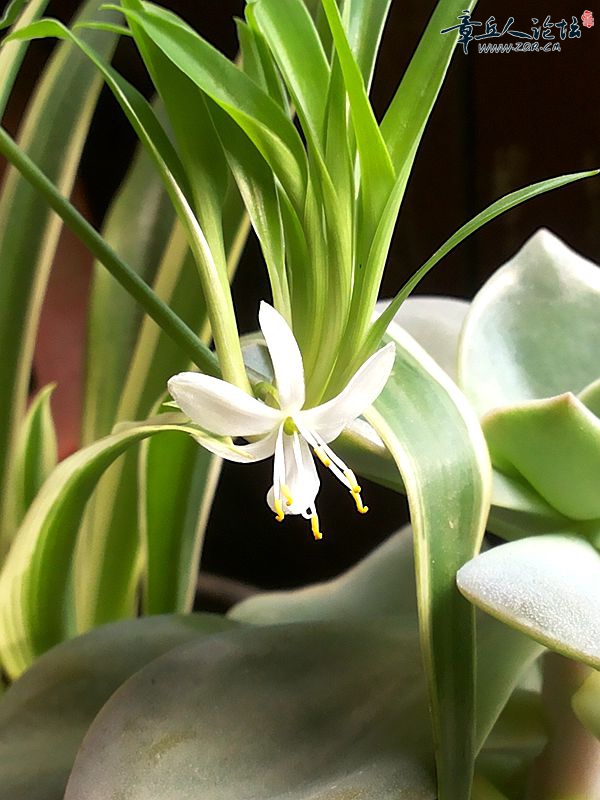 20150325_102730.jpg