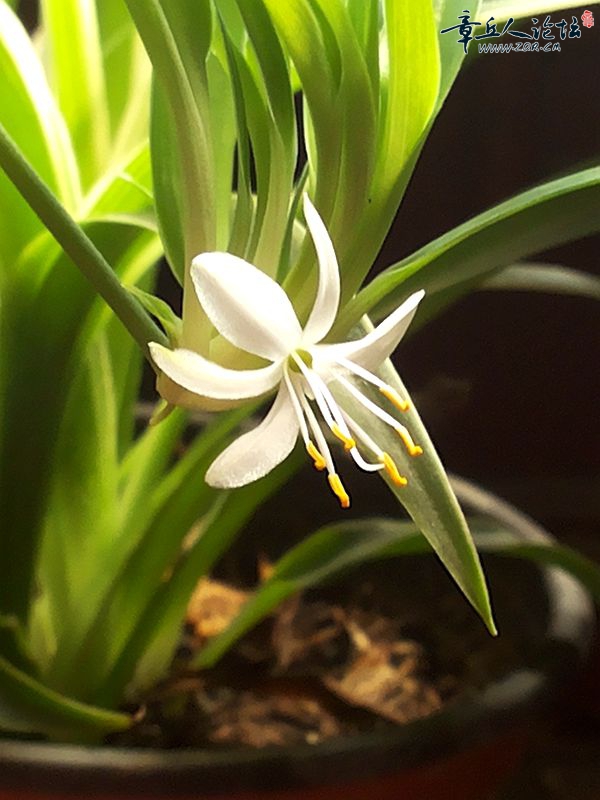 20150325_102838.jpg