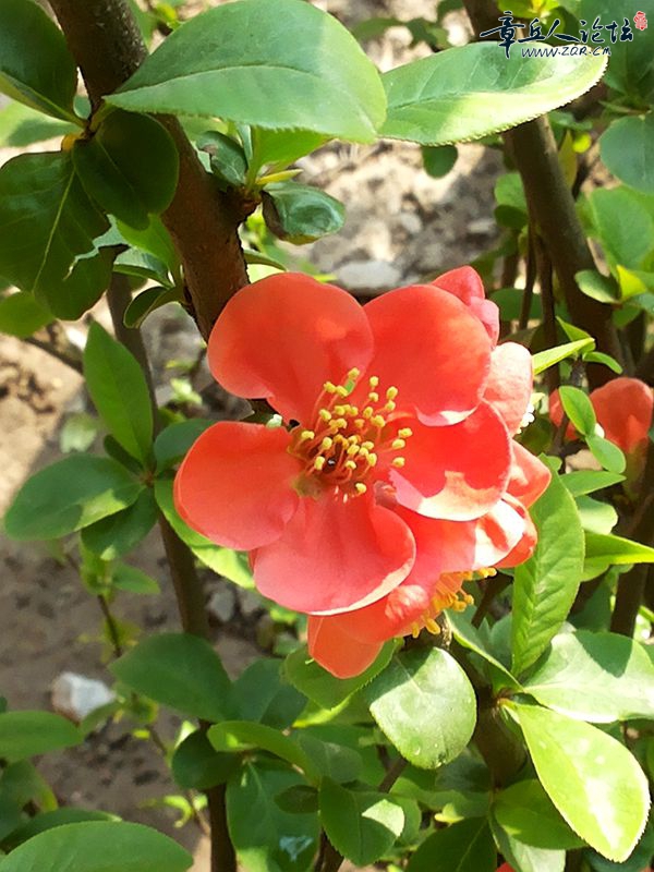 20150325_103728.jpg