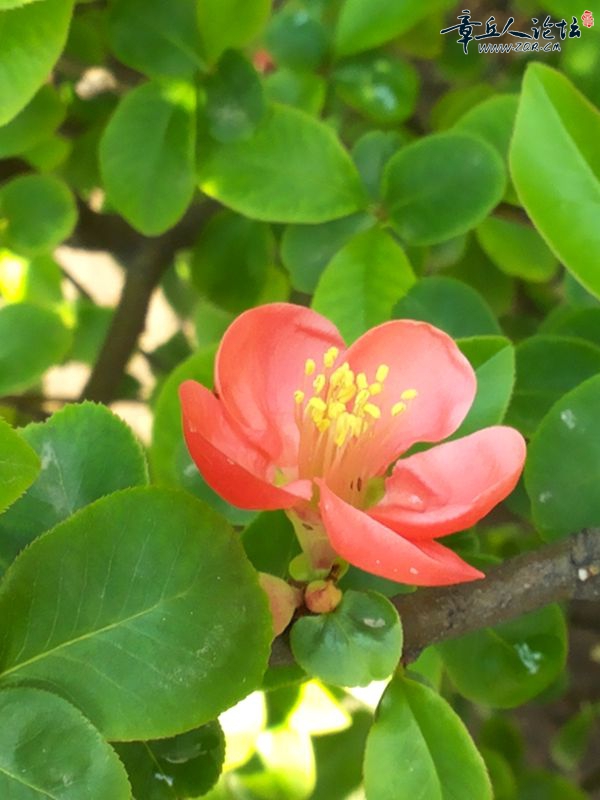 20150325_103638.jpg