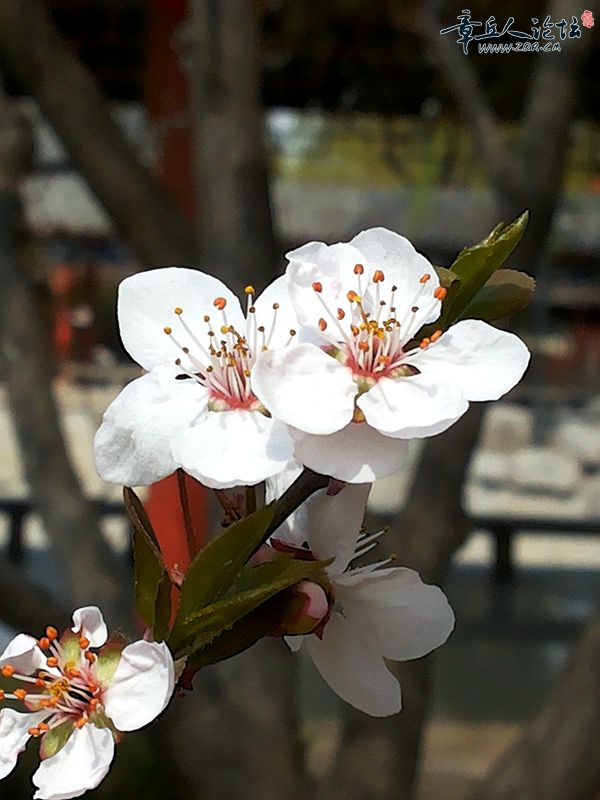 20150325_133320.jpg