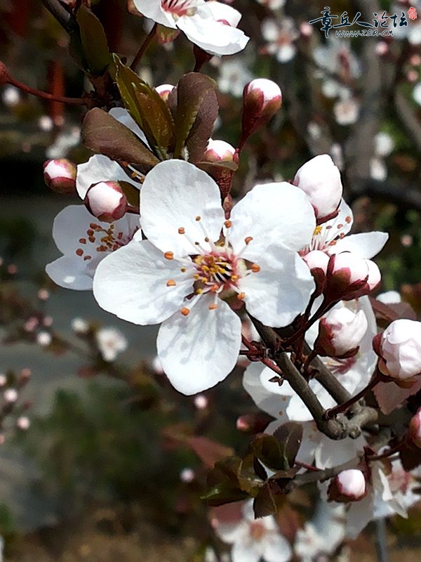 20150325_133350.jpg