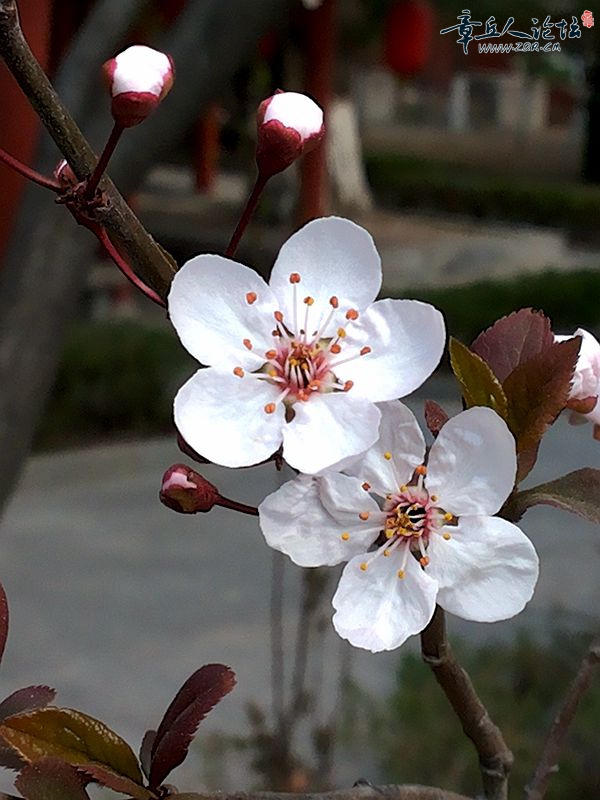20150325_133458.jpg