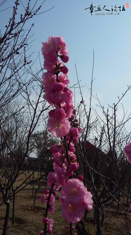 旋转 20150325_145934.jpg