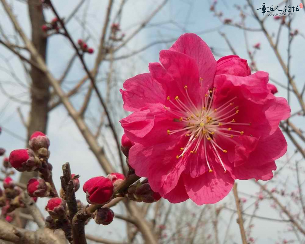 20150326_100500.jpg