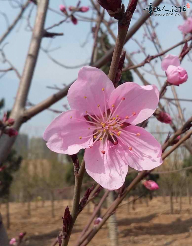 20150326_100707.jpg