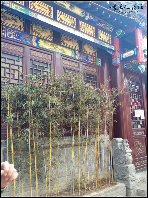 照片 262.jpg