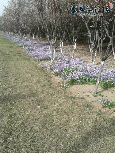 20150329_155542.jpg