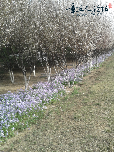 20150329_155547.jpg