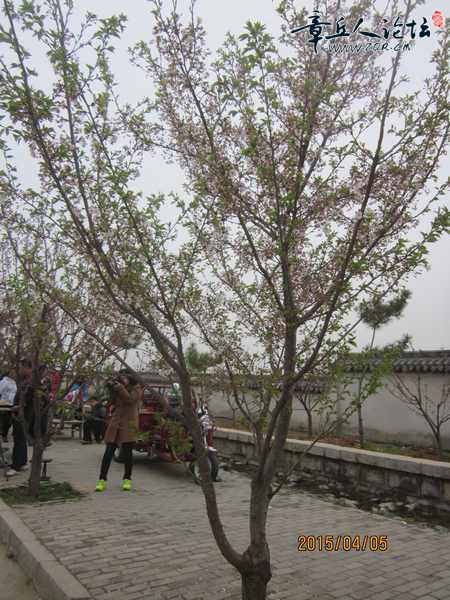 照片 063.jpg