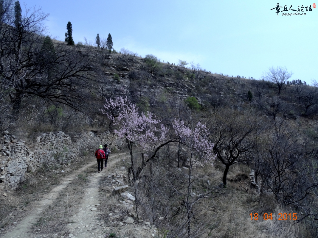 DSC00627.JPG