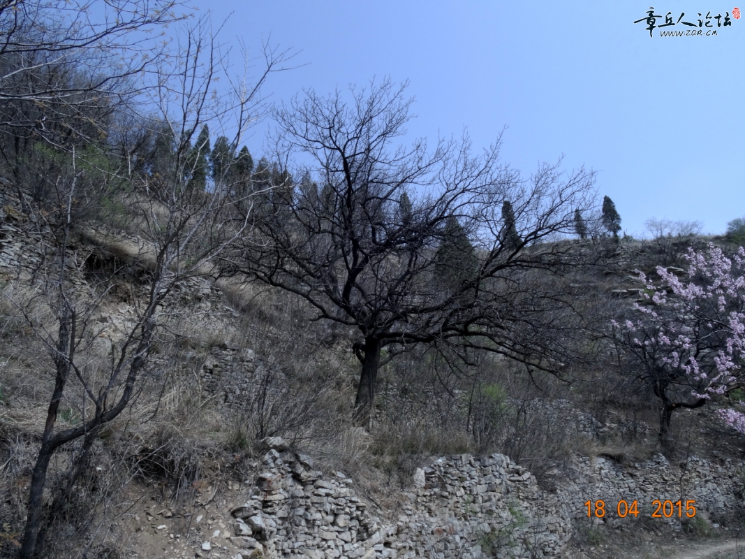 DSC00628.JPG