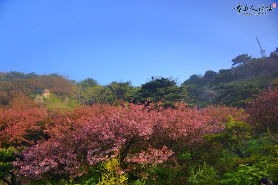 QQ图片20150512090305.jpg