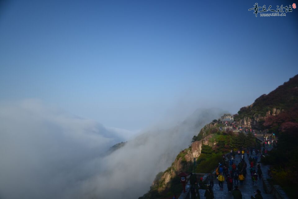 QQ图片20150512090402.jpg