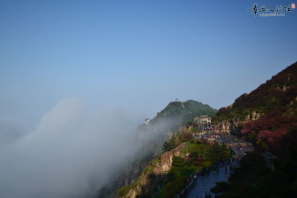 QQ图片20150512090408.jpg