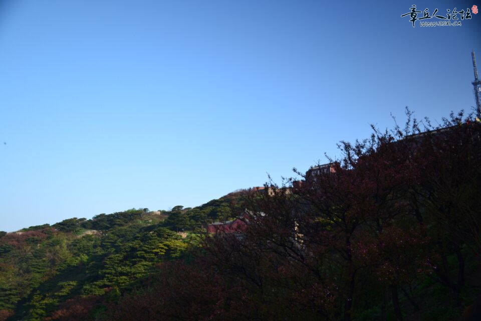 QQ图片20150512090414.jpg