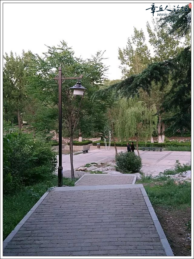 215347kiqnnuj1kih1qbqd.jpg