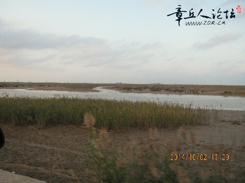IMG_3658_?.jpg