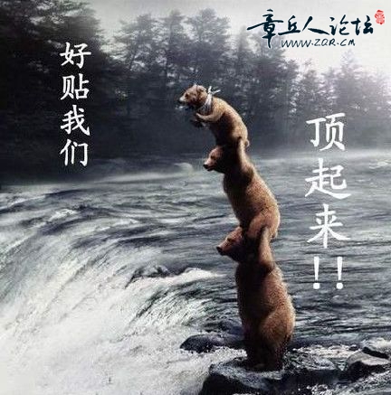 201103241134555528.jpg