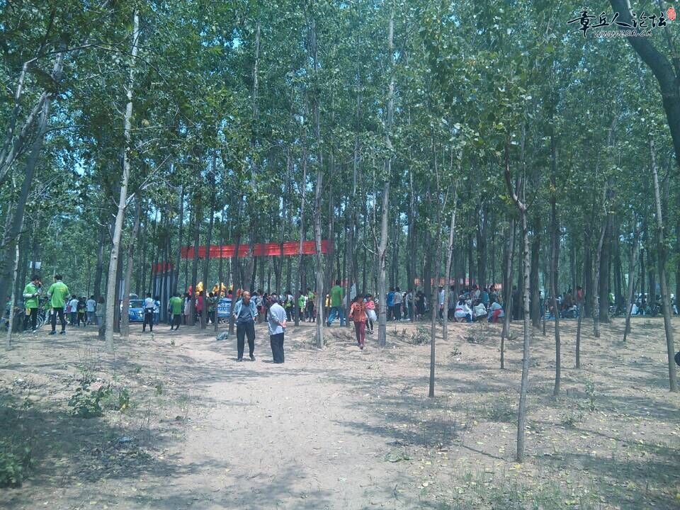 QQ图片20150605090159.jpg