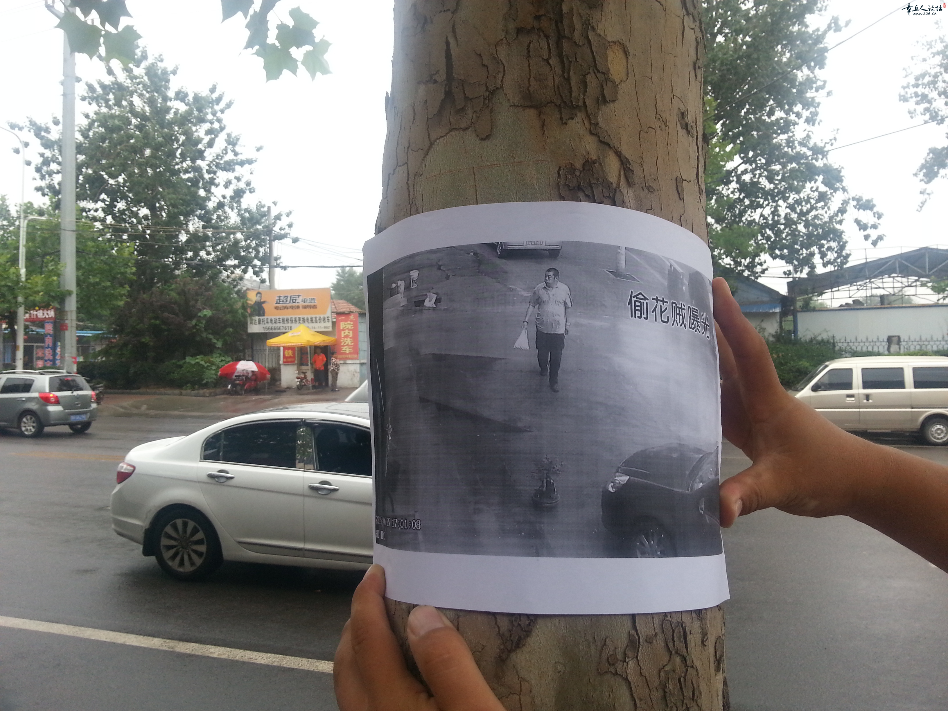 20150629_154159.jpg